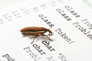 bug